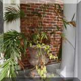 L19. Plant and planter (2 total) 